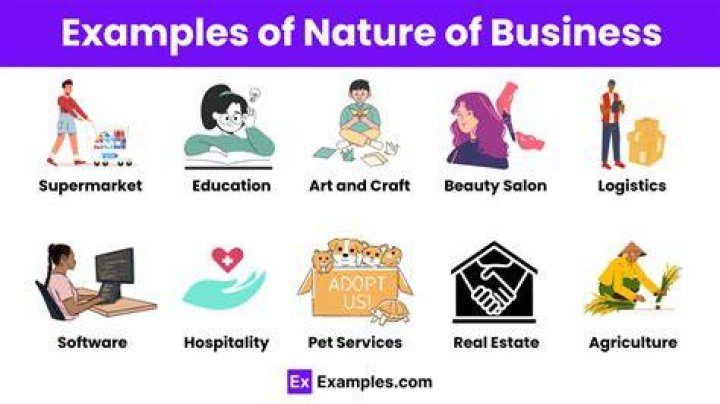 How are small businesses defined what is the nature of business?