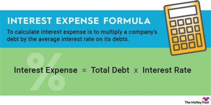 How does interest expense affect assets?