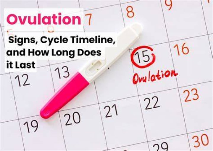 How long does a business cycle last quizlet?