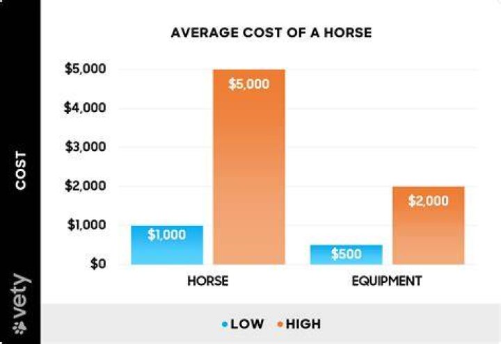 How much does the average horse rancher make?