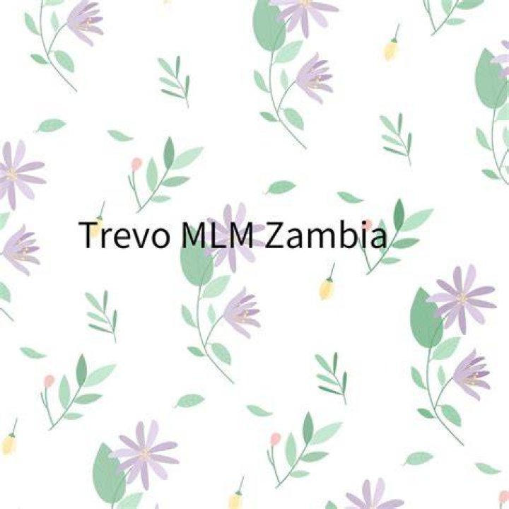 Is Trevo an MLM?