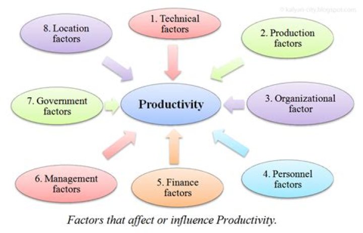 What are factors affecting productivity?