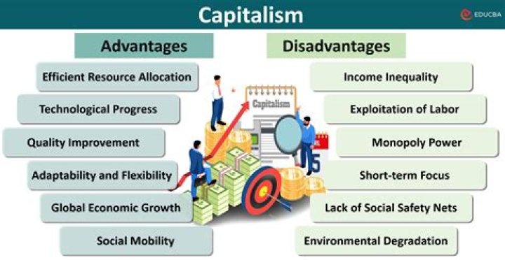 What are some disadvantages of living in a capitalist society?