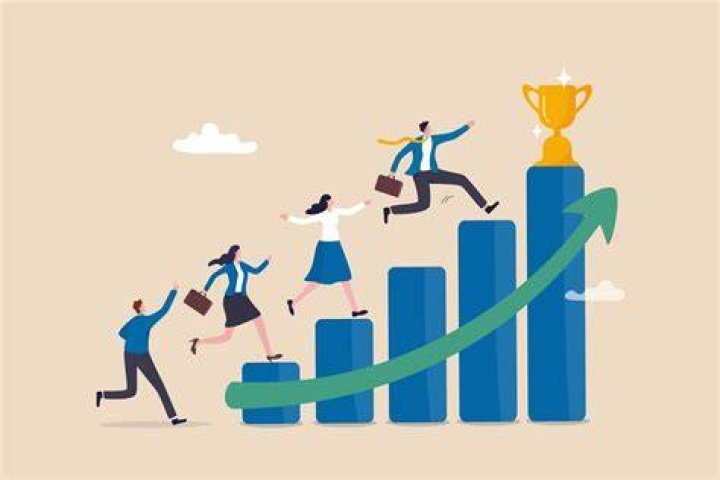 What are the 6 steps for the improve organization performance?