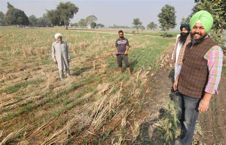 What are the main functions of a sarpanch of a village?
