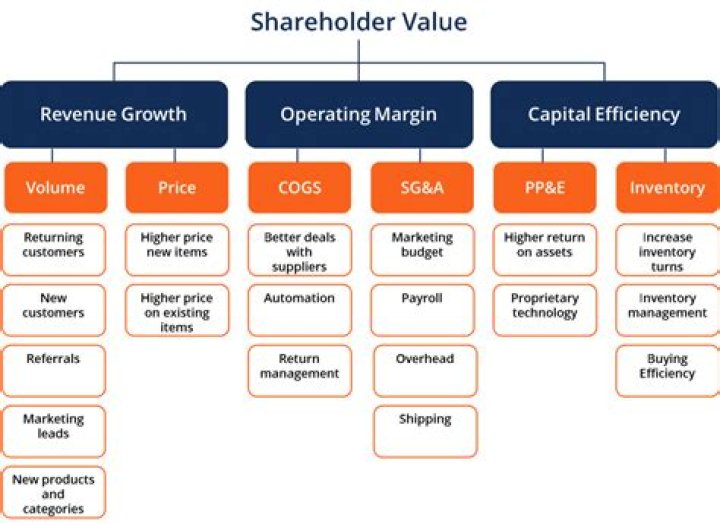 What does it mean to maximize shareholder value?