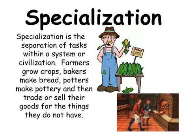 What does specialization mean?
