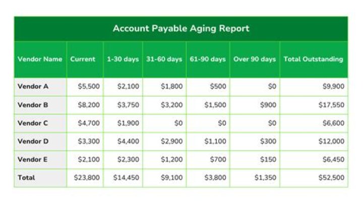 What information does an accounts payable aging report provide?