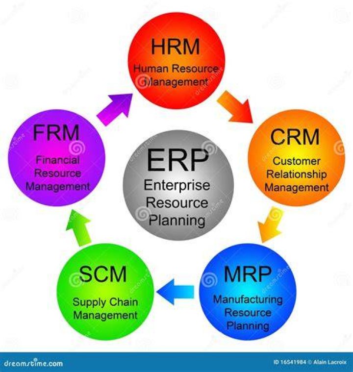 What is Enterprise Resource Planning with example?