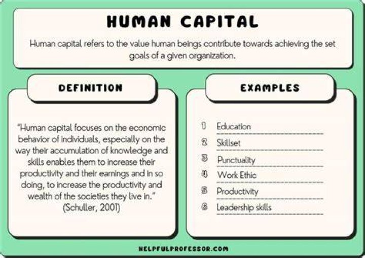 What is meant by social or human capital?