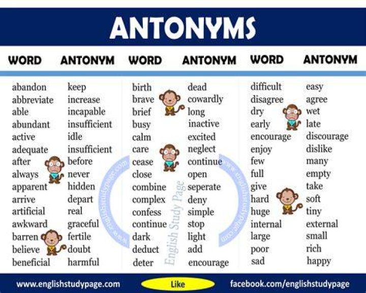 What is the closest antonym for the word concise?