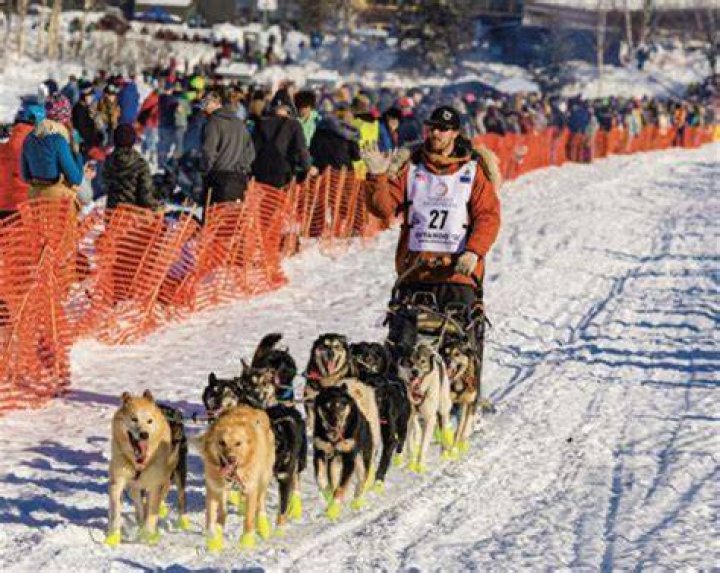 What is the fewest number of dogs that a team can run with?