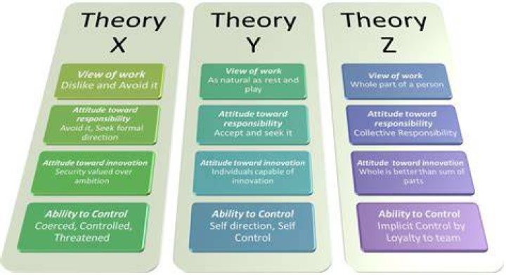 What is theory Z in principles of management?
