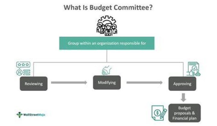 What type of committee is the Budget Committee?